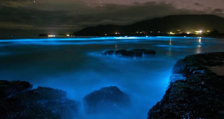 geceleri bu sahili goren gozlerine inanamiyor i4BWaBax