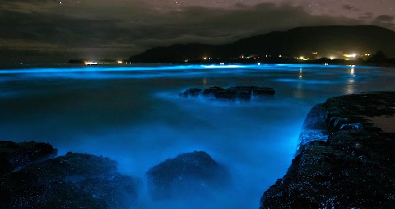 geceleri bu sahili goren gozlerine inanamiyor i4BWaBax