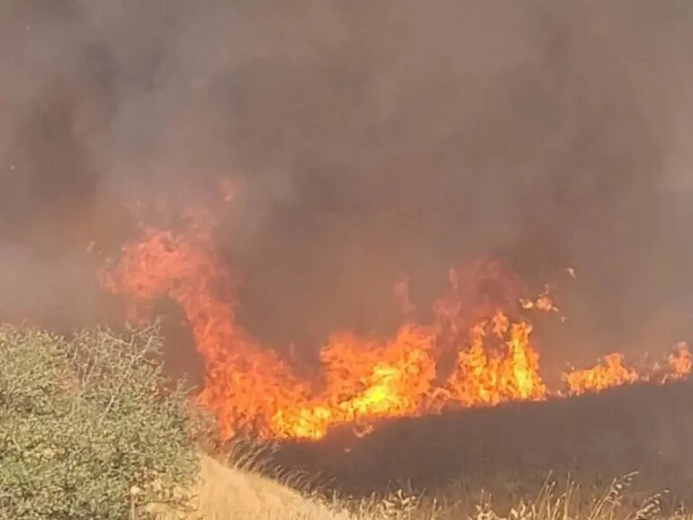 ipsalada bugday tarlasinda yangin DTvR4yup