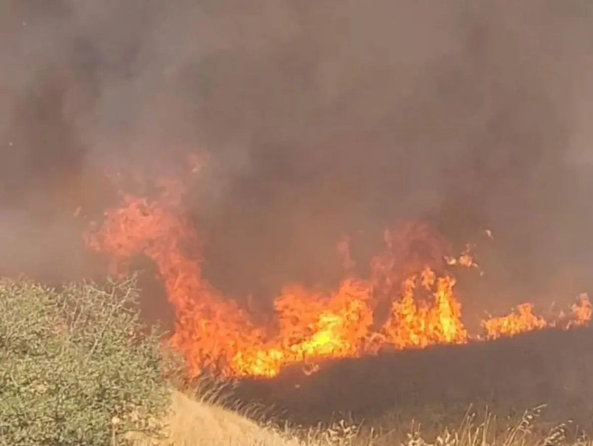 ipsalada bugday tarlasinda yangin DTvR4yup