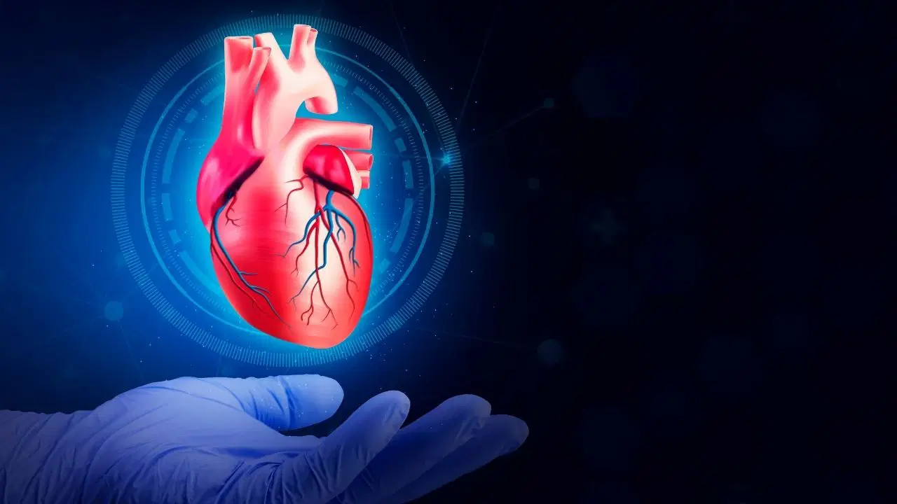 kalp sagligi icin hangi besinler tuketilmeli hangilerinden uzak durulmali JrYtyxM4