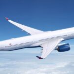 kuslarin carptigi ucakta panik acil inis yapti 3haggNbw