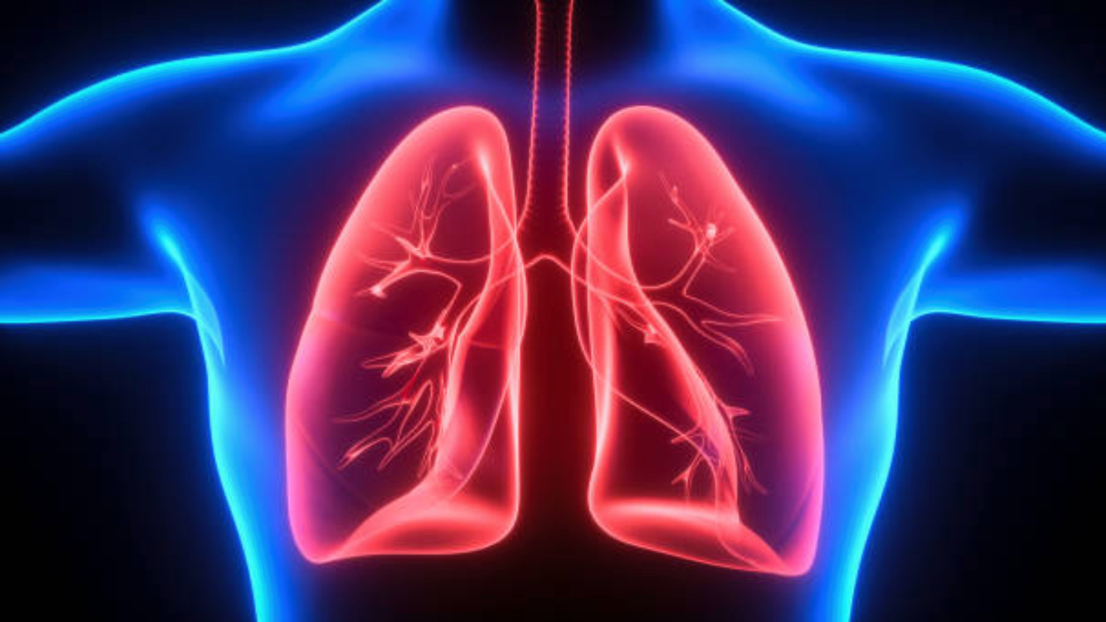 samsunda 1 yilda 188 kisiye nadir gorulen akciger hastaligi tanisi konuldu bircok kanser turunden daha fazla olume yol acabiliyor H7IBSYnN