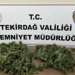 tekirdagda uyusturucu operasyonu 2 supheli tutuklandi d9TslgNK
