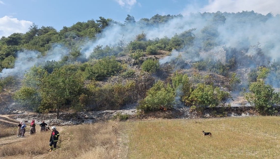 tokatta orman yangini 8viblYDl