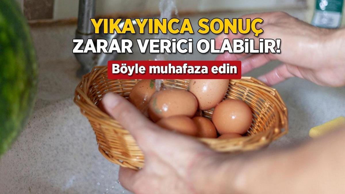 yikayinca sonuc salmonella bakterisi yumurtayi boyle muhafaza etmek sart qyTjDy5v.jpg