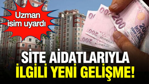 Dünya Kupası’na şimdiden damga vurdular! Norveç’ten ABD’de aç kalmamak için görülmemiş yöntem