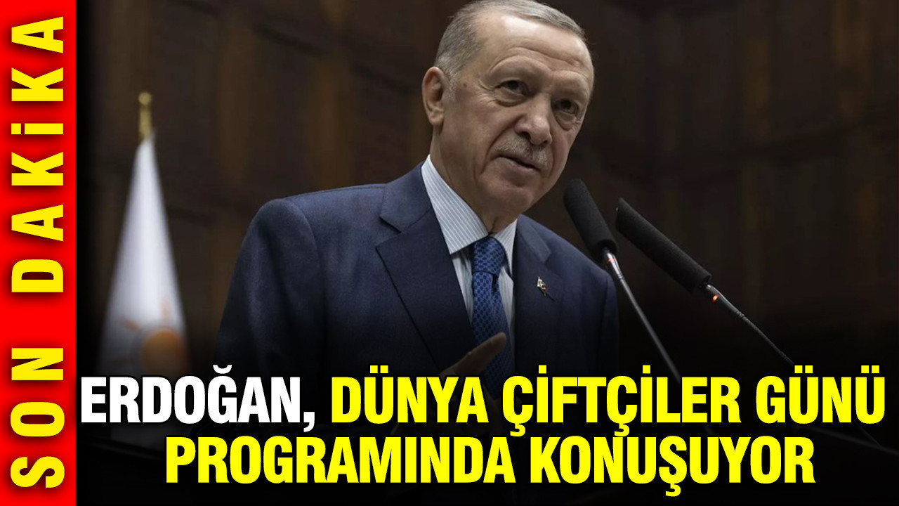 Kaskla Hırsızlık Yapan Şüpheli, “Borçlarım Vardı” Dedi