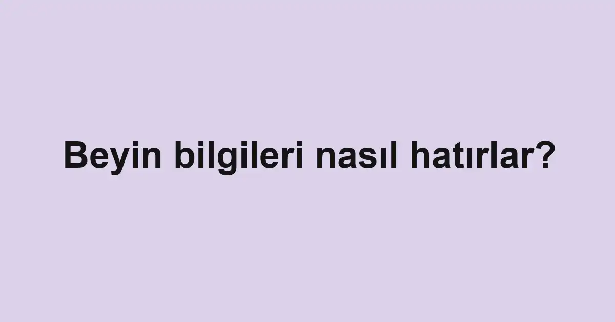 Beyin bilgileri nasıl hatırlar?