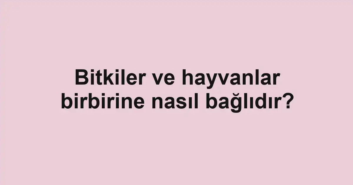 Bitkiler ve hayvanlar birbirine nasıl bağlıdır?