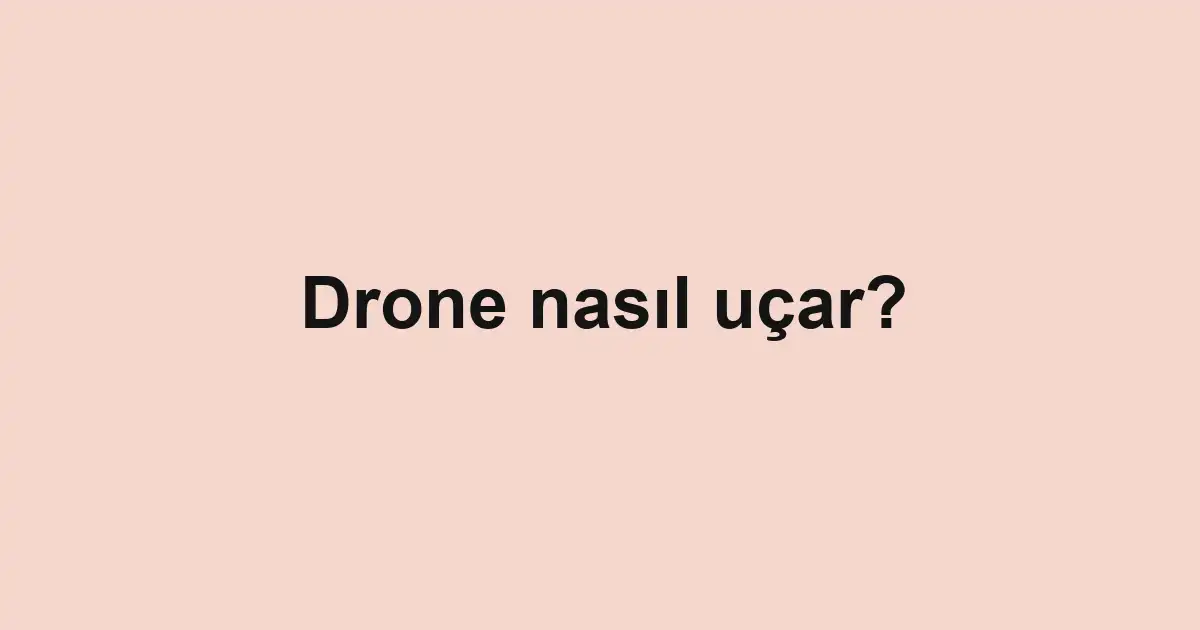 Drone nasıl uçar?