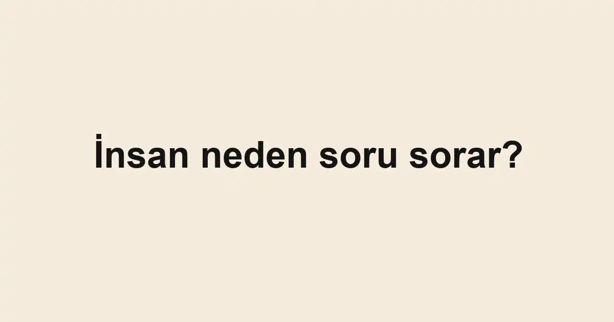 İnsan neden soru sorar?