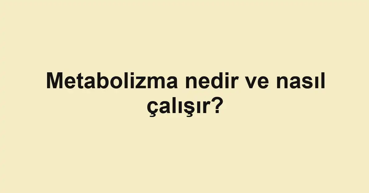 Metabolizma nedir ve nasıl çalışır?