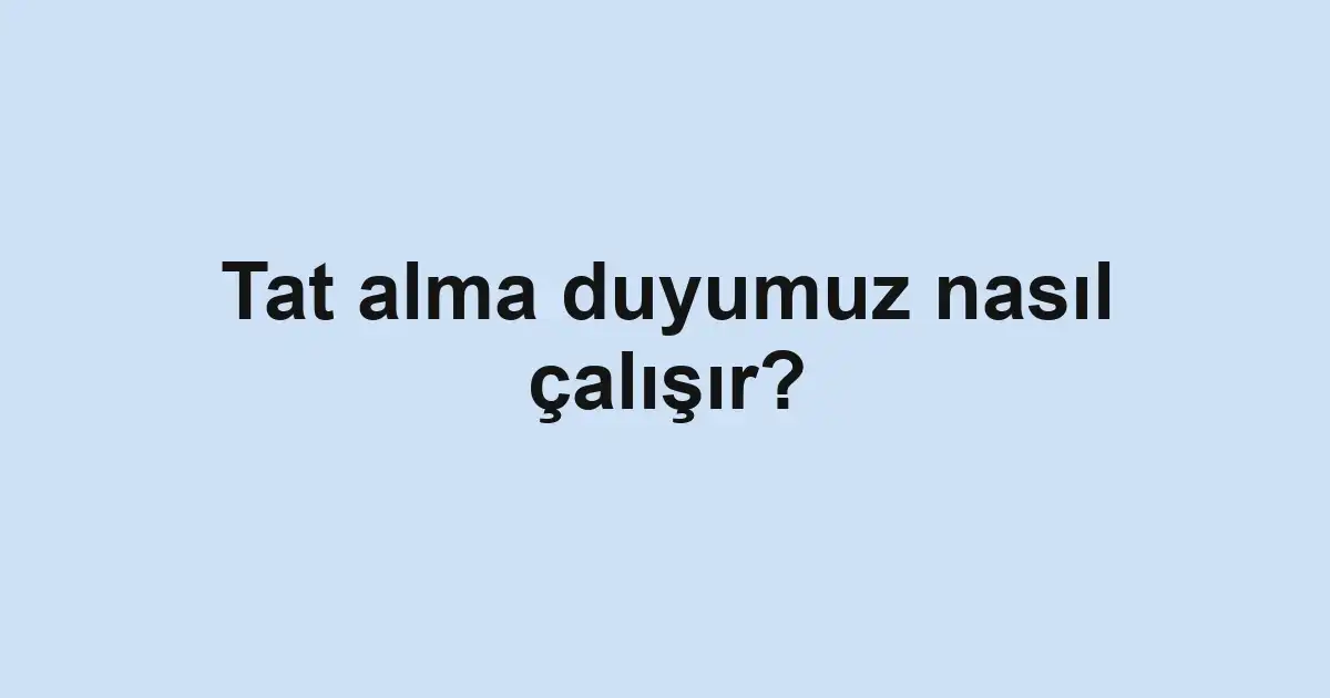 Tat alma duyumuz nasıl çalışır?