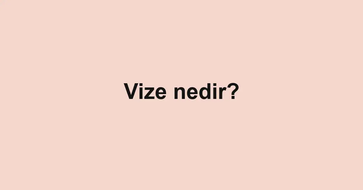 Vize nedir?